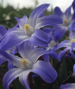 29570330_10155748442778882_2093040096864264505_n