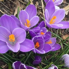 29595565_10155748442793882_7311747528650994330_n